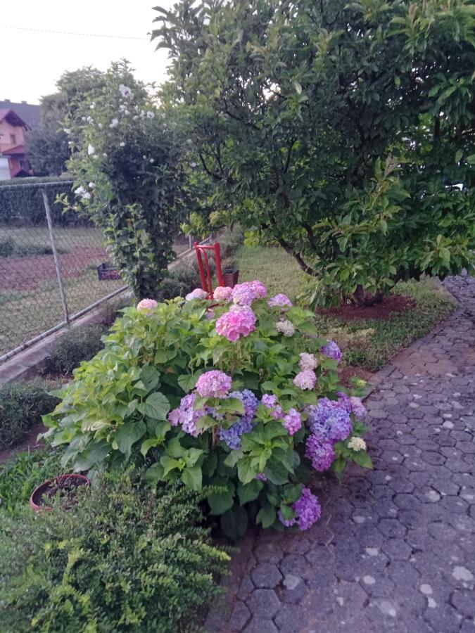 Apartman Bepo Gospić Zewnętrze zdjęcie