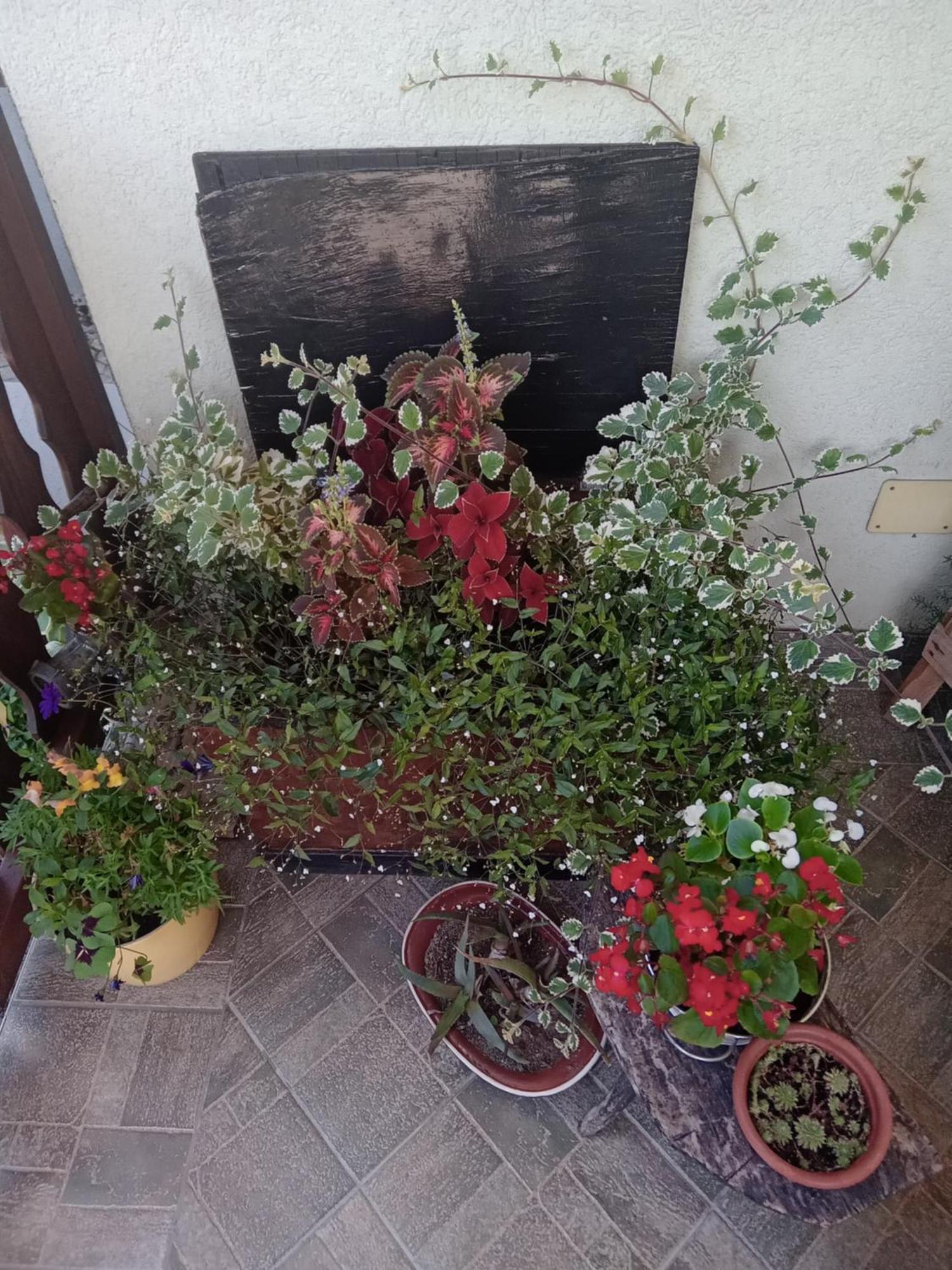 Apartman Bepo Gospić Zewnętrze zdjęcie